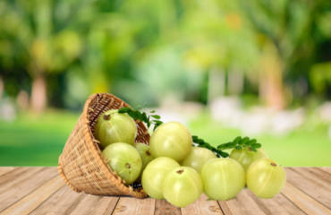 Amla a Natural Immunity Booster