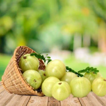 Amla a Natural Immunity Booster