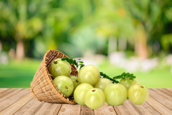 Amla a Natural Immunity Booster